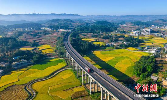 贵州黔西：金秋田园 “丰”景如画